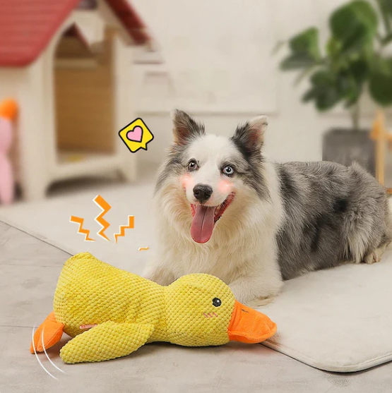 Quack-Quack Squeaky Dog Toy™