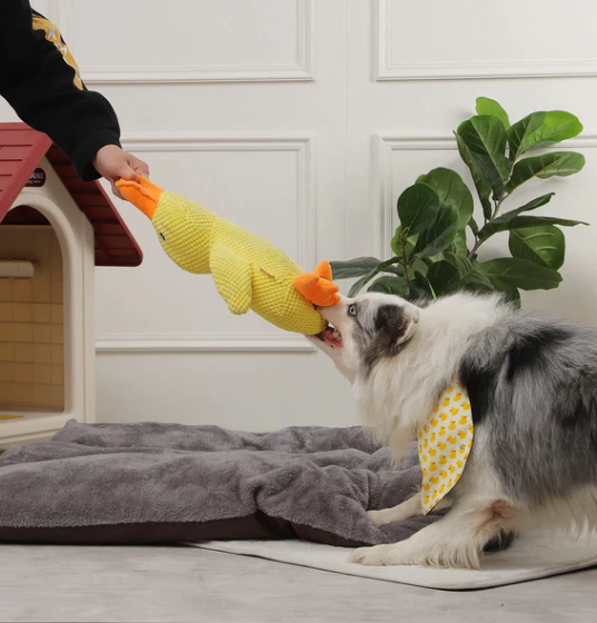 Quack-Quack Squeaky Dog Toy™